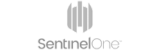 sentinel one